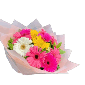 Ramo 12 Gerberas