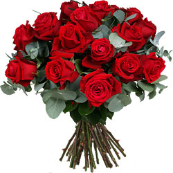Bouquet de 24 Rosas