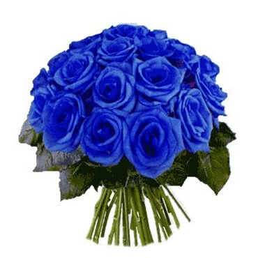 Ramo con 24 Rosas Azules